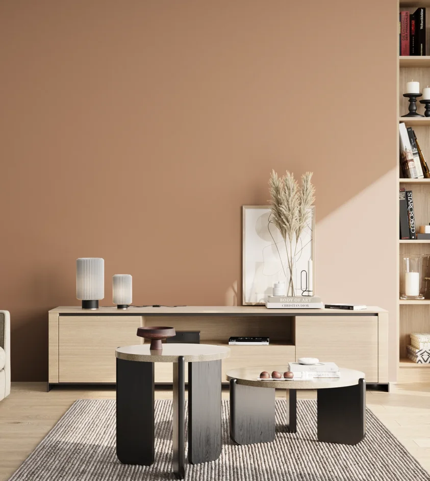 P10_SNIEZKA_salon_02_poludnie_GREY_S3020-Y50R