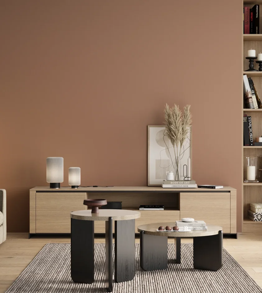 P10_SNIEZKA_salon_00_neutral_GREY_S3020-Y60R
