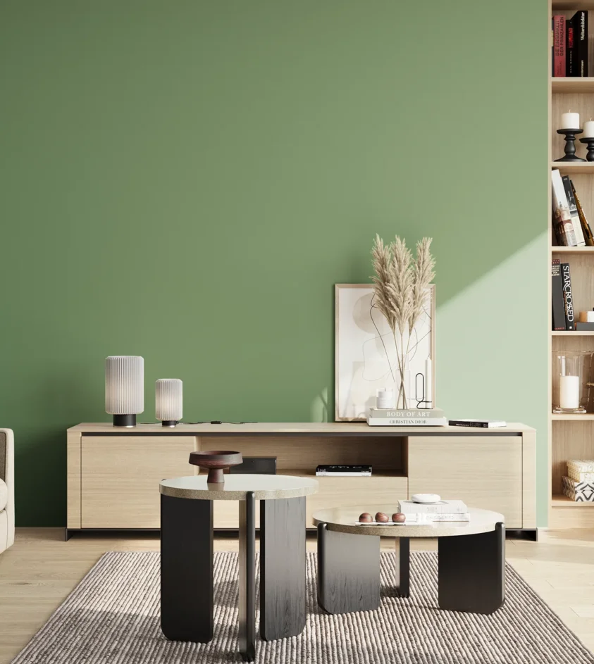 P10_SNIEZKA_salon_02_poludnie_GREY_S3030-G20Y
