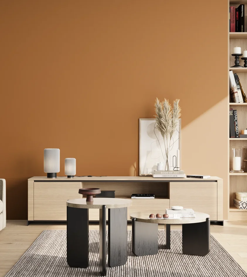 P10_SNIEZKA_salon_02_poludnie_GREY_S3050-Y30R