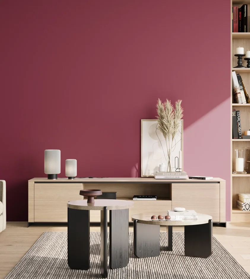 P10_SNIEZKA_salon_02_poludnie_GREY_S3060-R20B