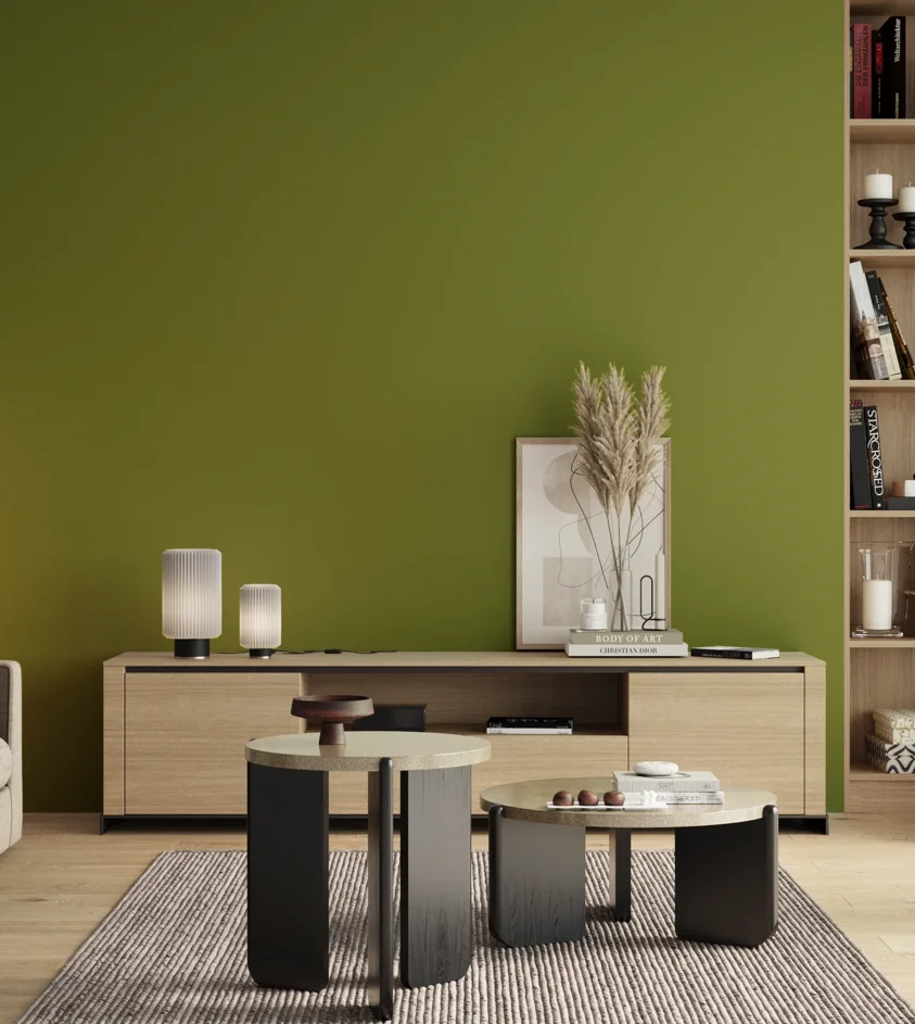 P10_SNIEZKA_salon_00_neutral_GREY_S3065-G50Y