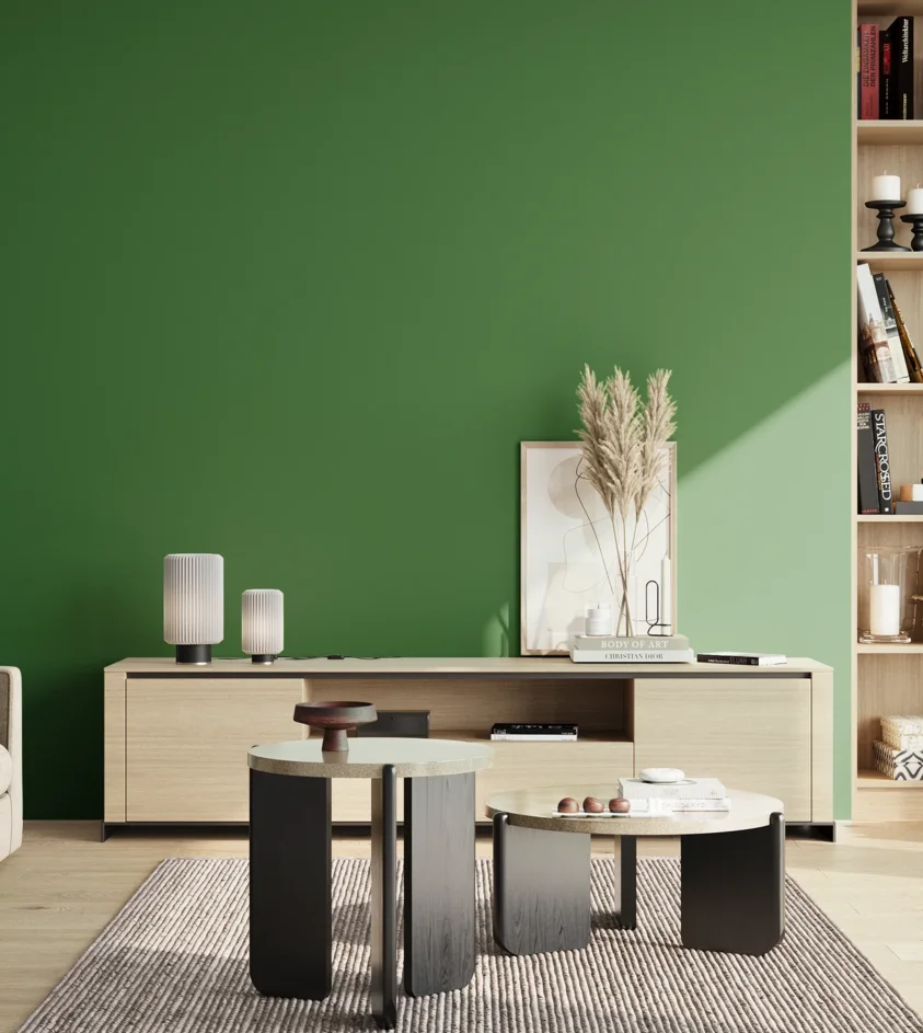 P10_SNIEZKA_salon_02_poludnie_GREY_S3560-G20Y