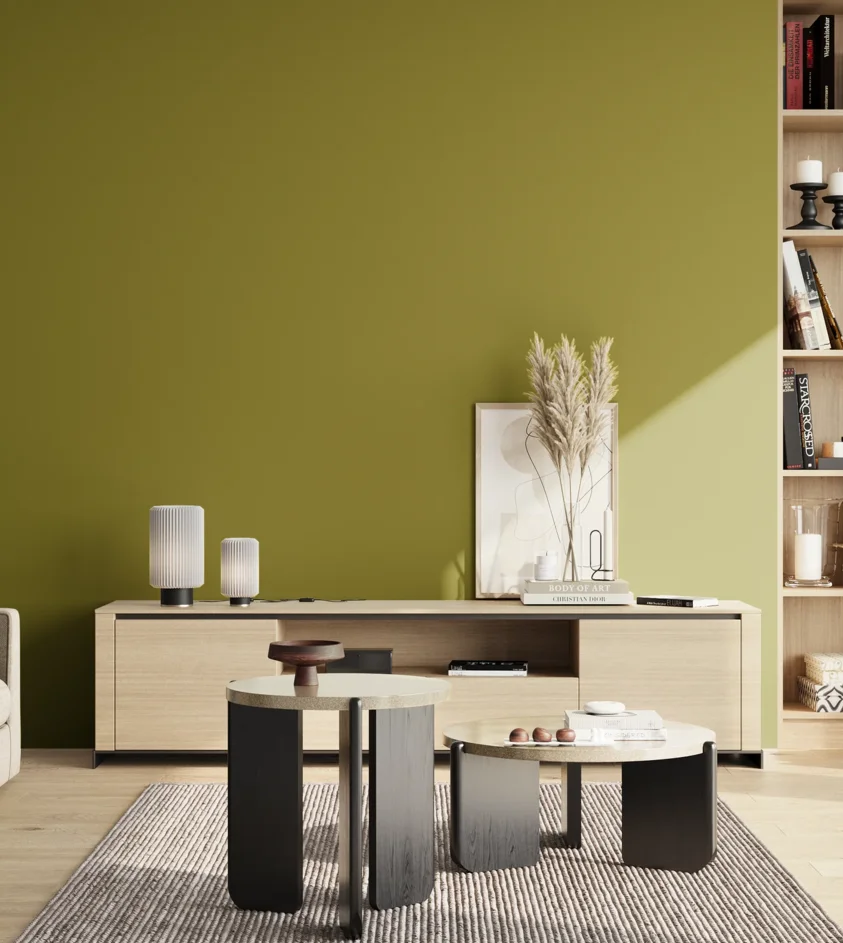 P10_SNIEZKA_salon_02_poludnie_GREY_S3560-G70Y