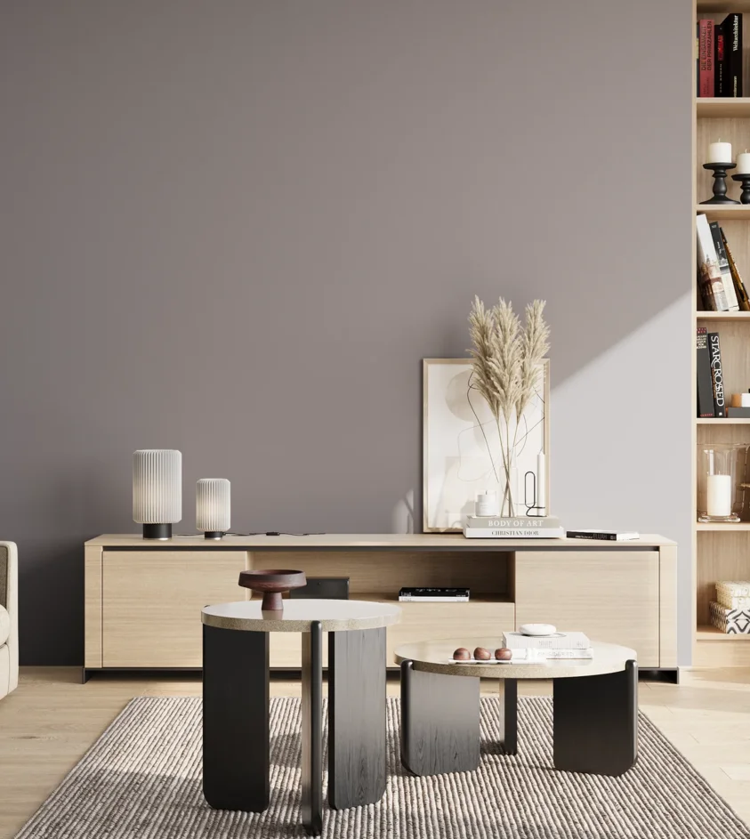 P10_SNIEZKA_salon_02_poludnie_GREY_S4005-R50B