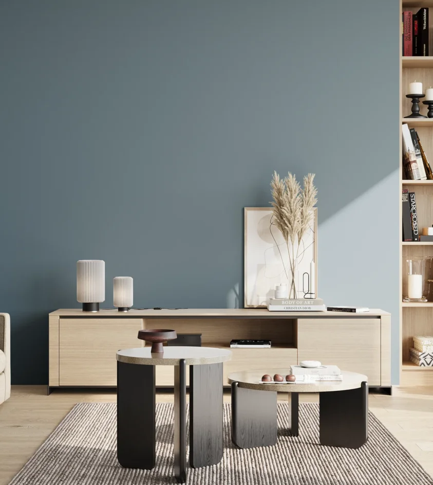 P10_SNIEZKA_salon_02_poludnie_GREY_S4020-B