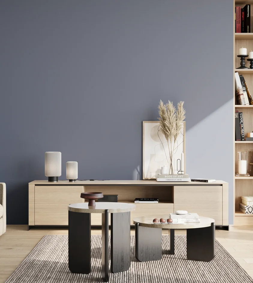 P10_SNIEZKA_salon_02_poludnie_GREY_S4020-R80B