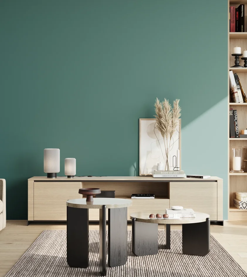 P10_SNIEZKA_salon_02_poludnie_GREY_S4030-B50G