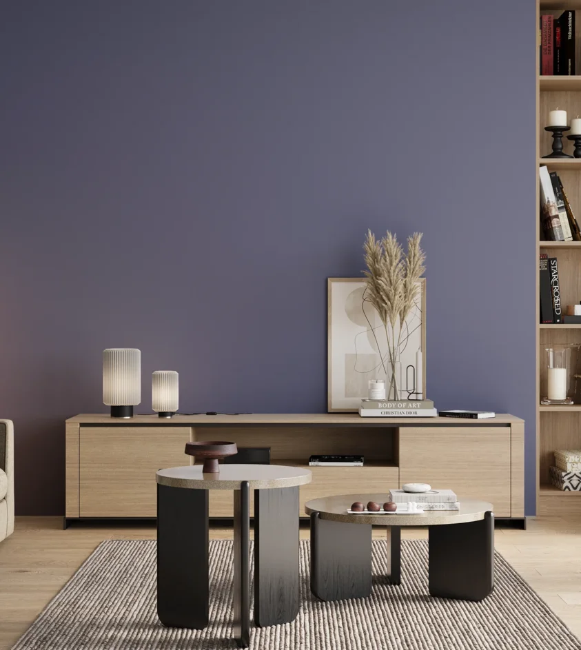 P10_SNIEZKA_salon_00_neutral_GREY_S4030-R70B