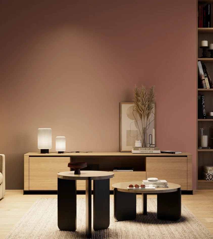 P10_SNIEZKA_salon_04_cieple_GREY_S4030-Y90R