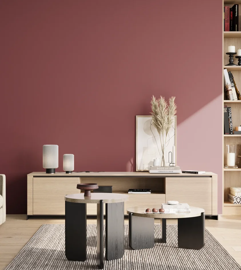 P10_SNIEZKA_salon_02_poludnie_GREY_S4040-R10B