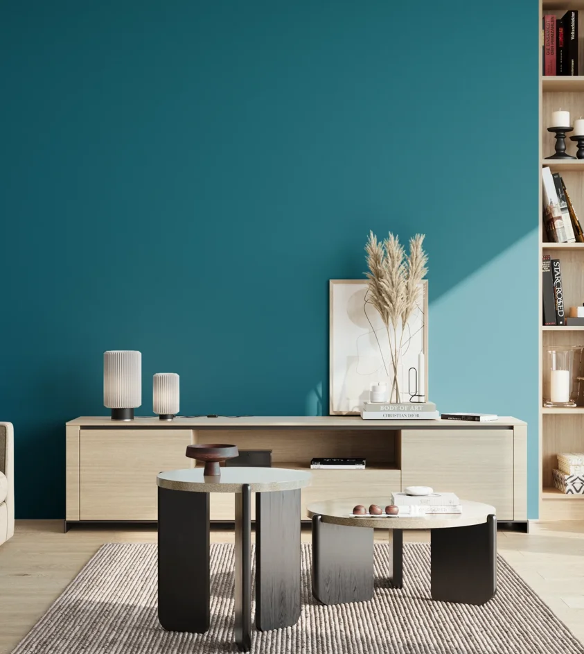 P10_SNIEZKA_salon_02_poludnie_GREY_S4050-B10G