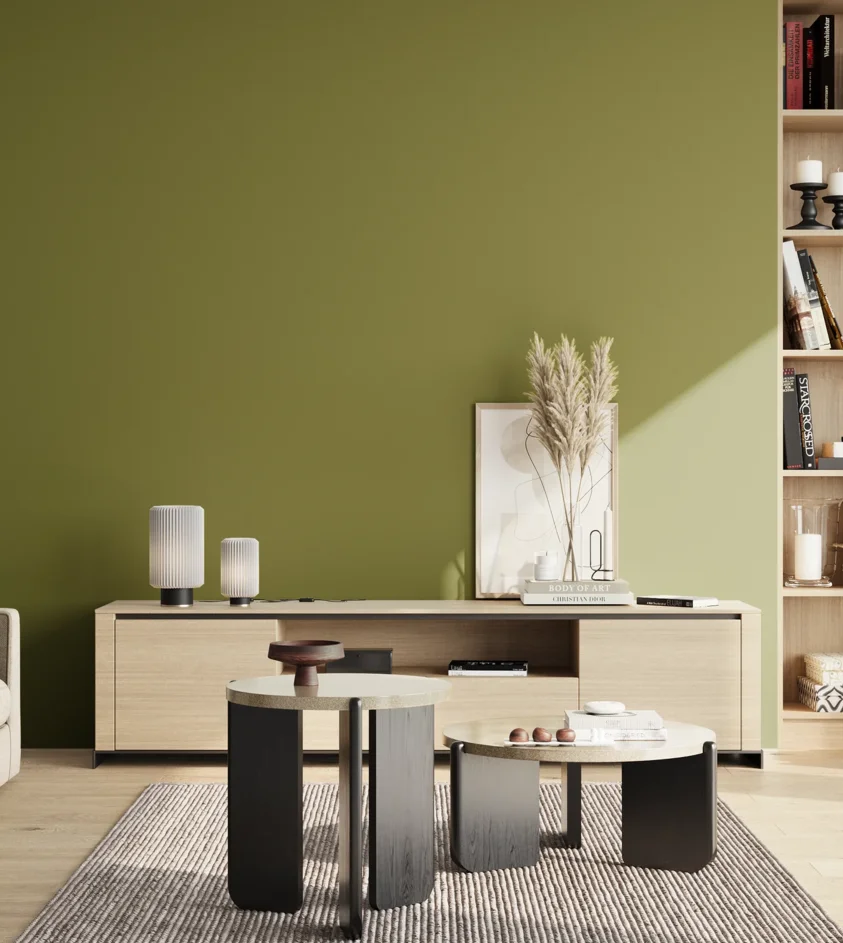 P10_SNIEZKA_salon_02_poludnie_GREY_S4050-G60Y