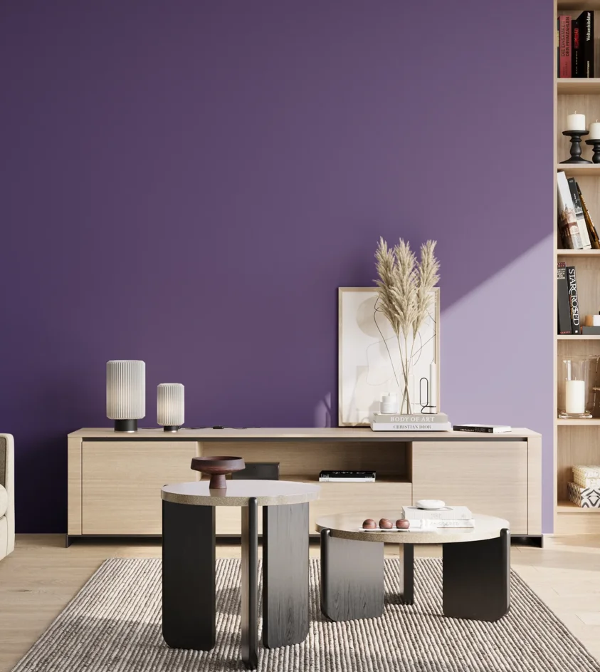 P10_SNIEZKA_salon_02_poludnie_GREY_S4050-R60B