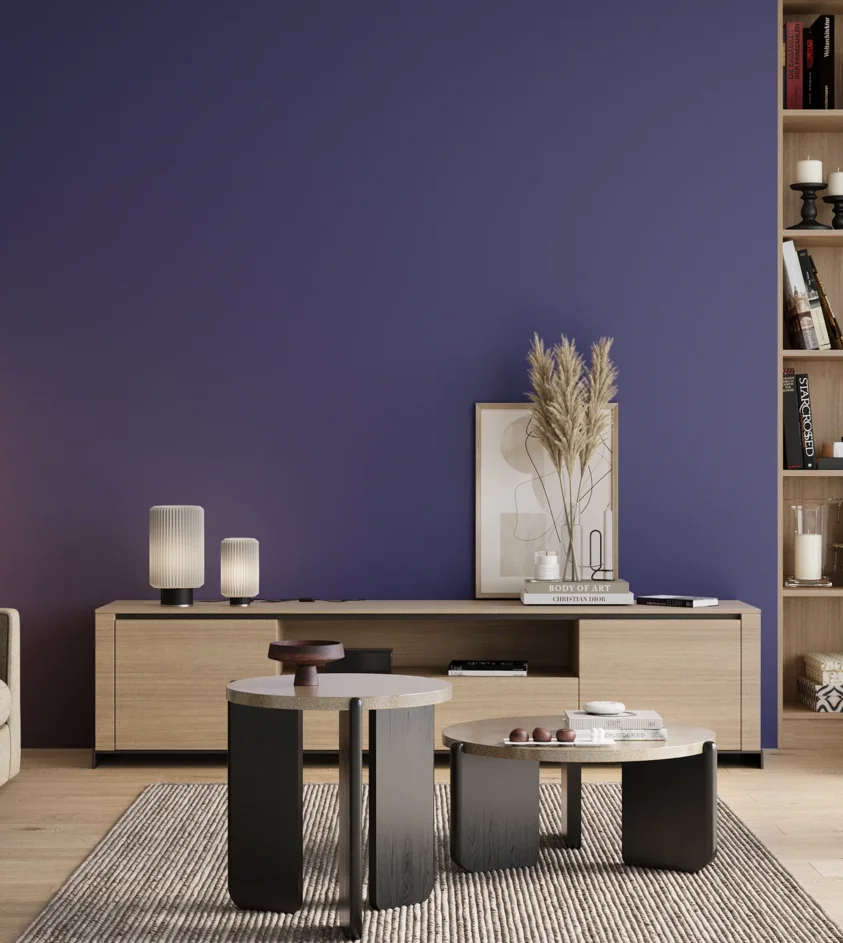 P10_SNIEZKA_salon_00_neutral_GREY_S4050-R70B