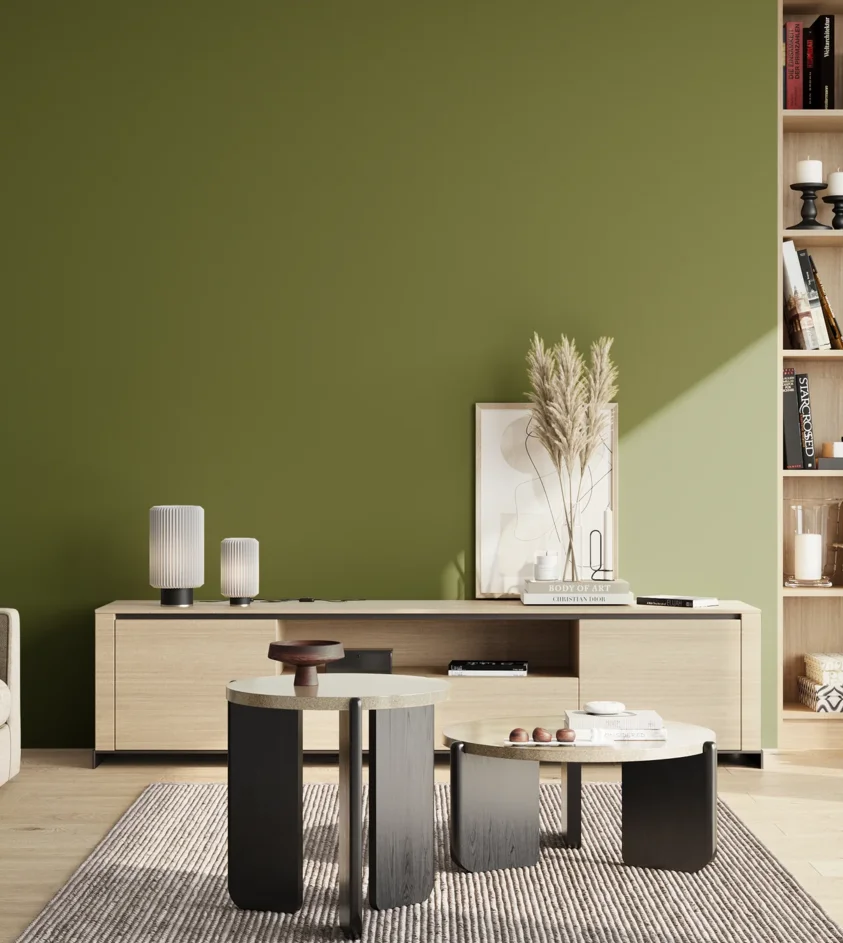 P10_SNIEZKA_salon_02_poludnie_GREY_S4550-G50Y