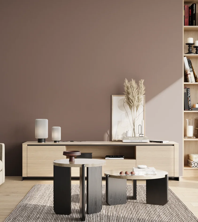 P10_SNIEZKA_salon_02_poludnie_GREY_S5010-Y90R