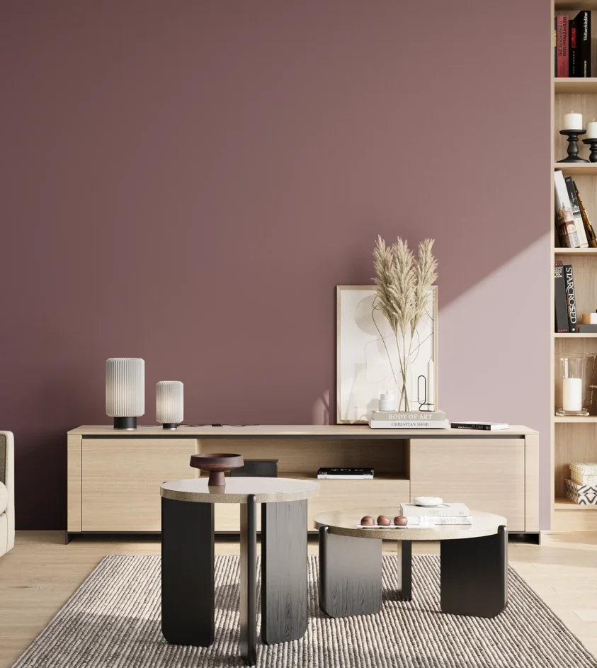 P10_SNIEZKA_salon_02_poludnie_GREY_S5020-R20B