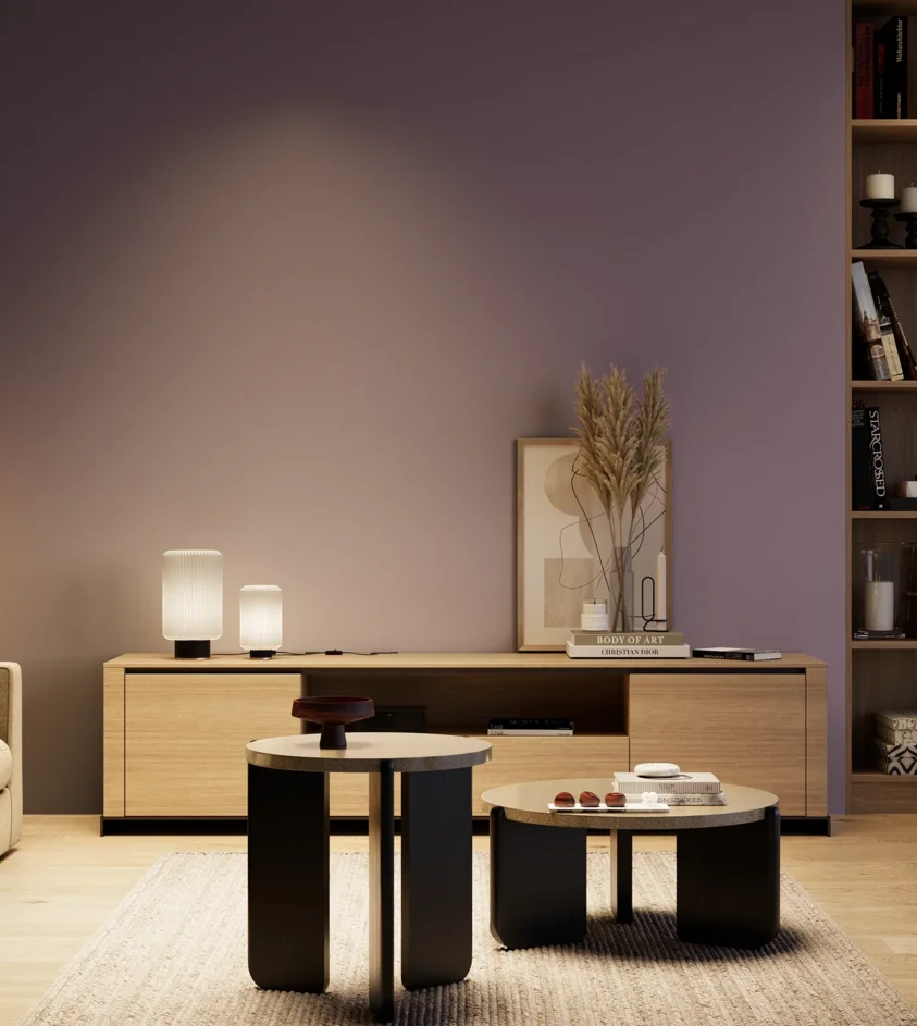 P10_SNIEZKA_salon_04_cieple_GREY_S5020-R50B