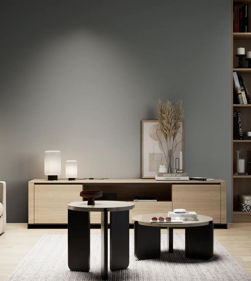 P10_SNIEZKA_salon_05_zimne_GREY_S6005-B80G