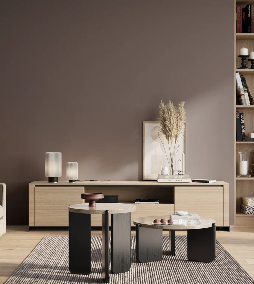 P10_SNIEZKA_salon_01_poranek_GREY_S6005-R20B