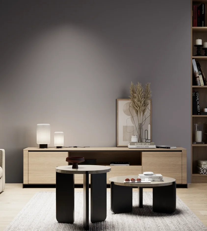 P10_SNIEZKA_salon_05_zimne_GREY_S6005-R50B