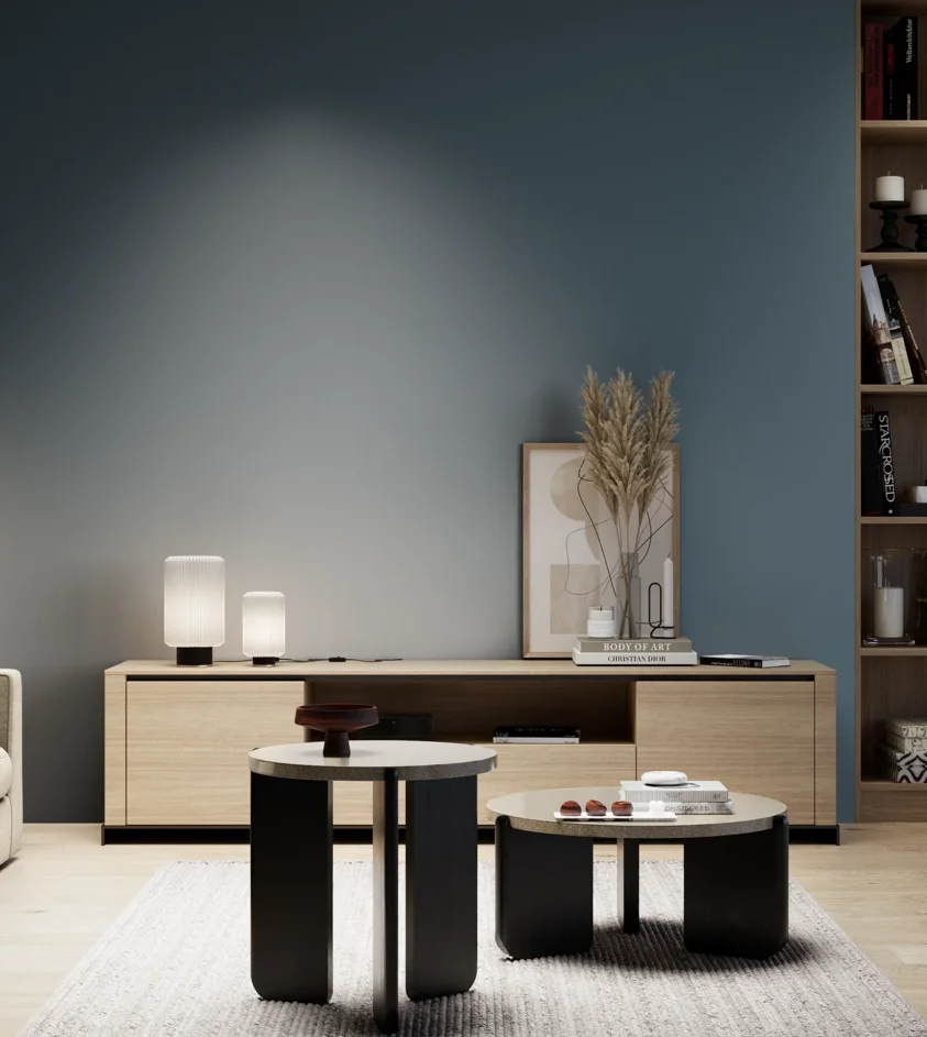 P10_SNIEZKA_salon_05_zimne_GREY_S6020-B