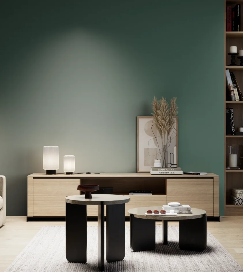 P10_SNIEZKA_salon_05_zimne_GREY_S6020-B90G