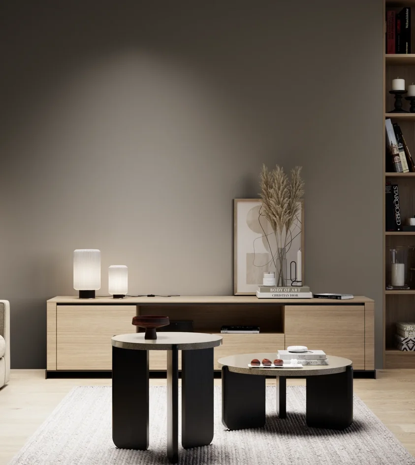 P10_SNIEZKA_salon_05_zimne_GREY_S7005-Y20R