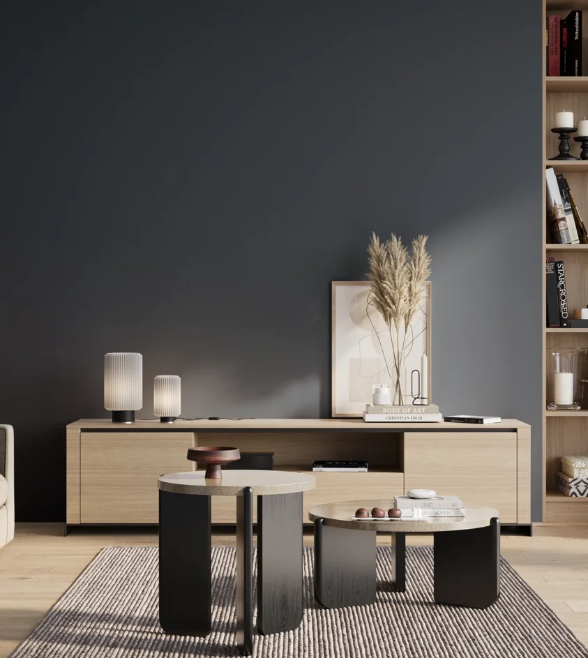 P10_SNIEZKA_salon_01_poranek_GREY_S7020-R90B