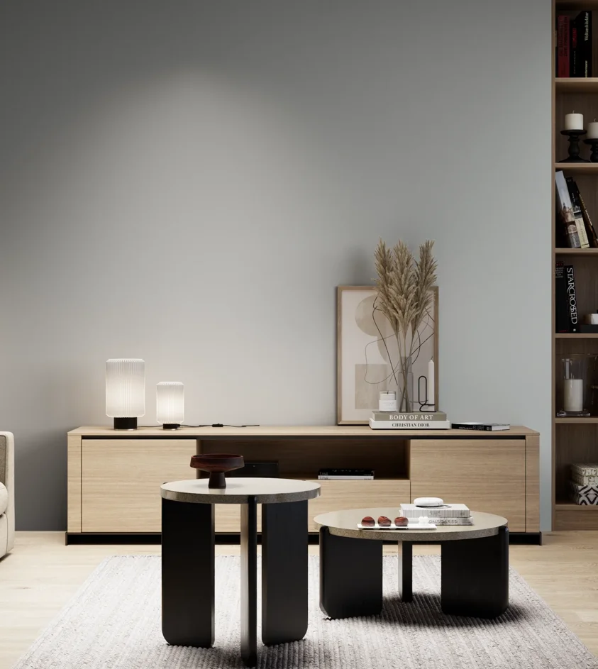 P10_SNIEZKA_salon_05_zimne_GREY_S2502-B50G