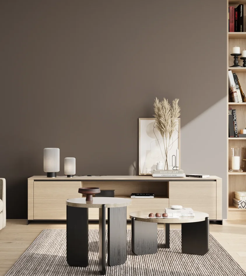 P10_SNIEZKA_salon_02_poludnie_GREY_S6502-Y80R