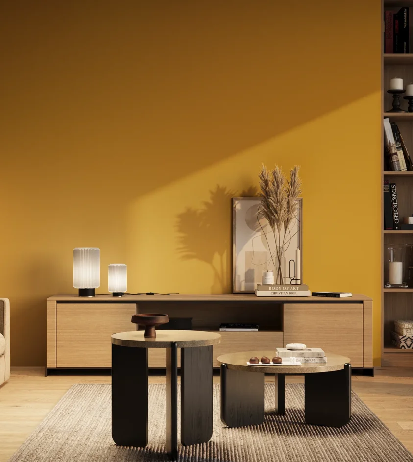 P10_SNIEZKA_salon_03_wieczor_GREY_RAL1003