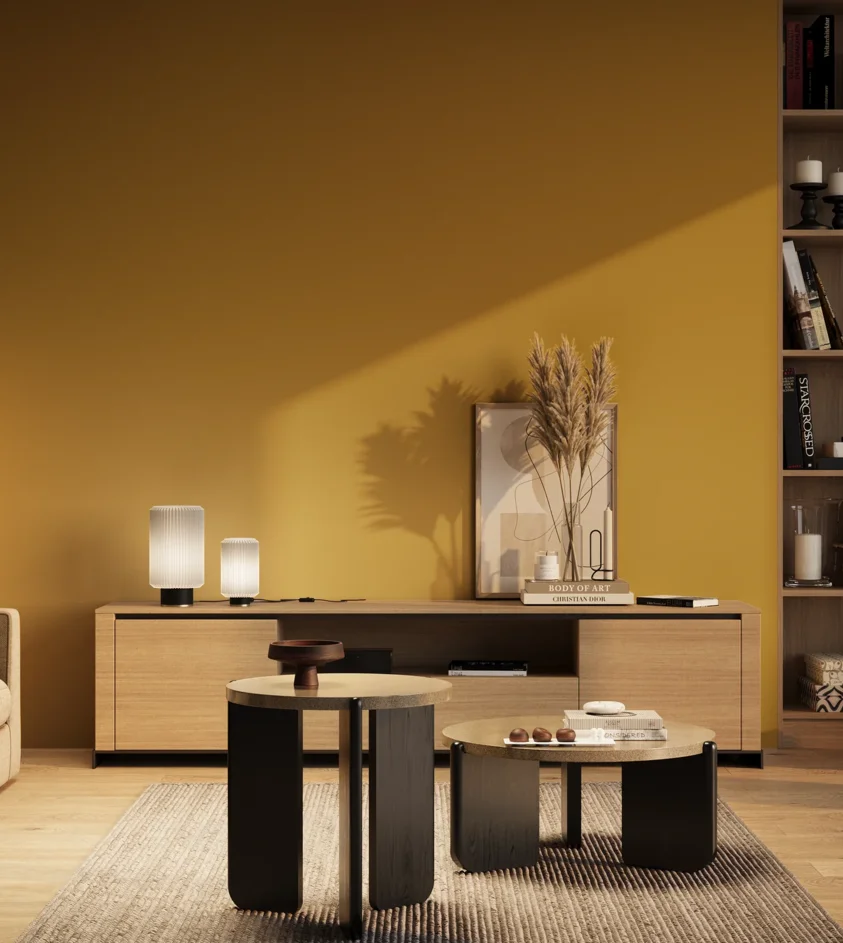 P10_SNIEZKA_salon_03_wieczor_GREY_RAL1005