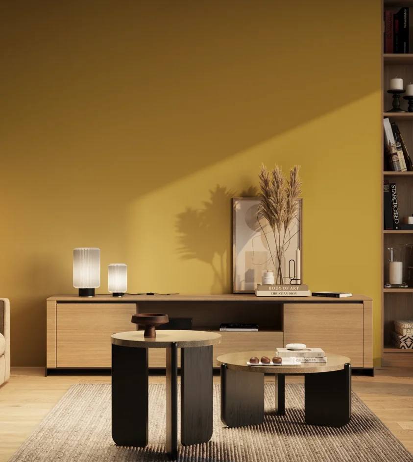 P10_SNIEZKA_salon_03_wieczor_GREY_RAL1012