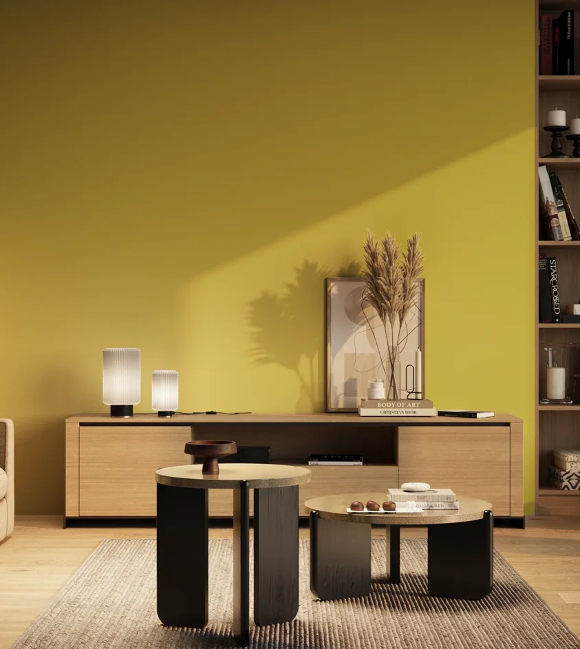 P10_SNIEZKA_salon_03_wieczor_GREY_RAL1016