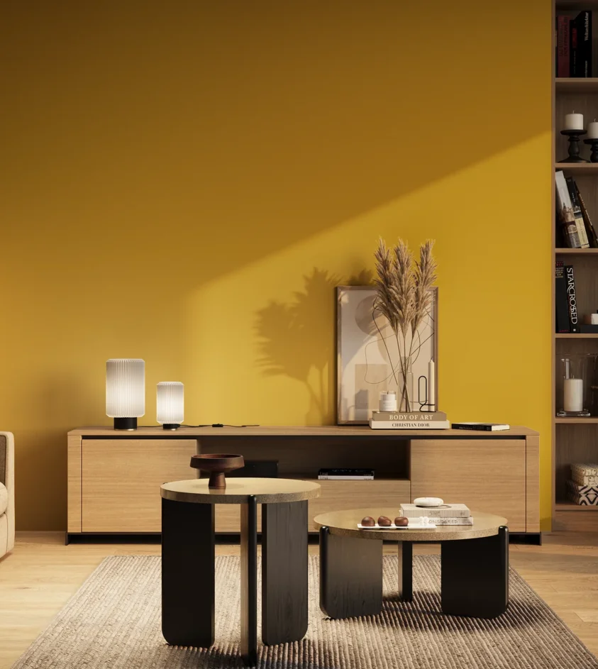 P10_SNIEZKA_salon_03_wieczor_GREY_RAL1023