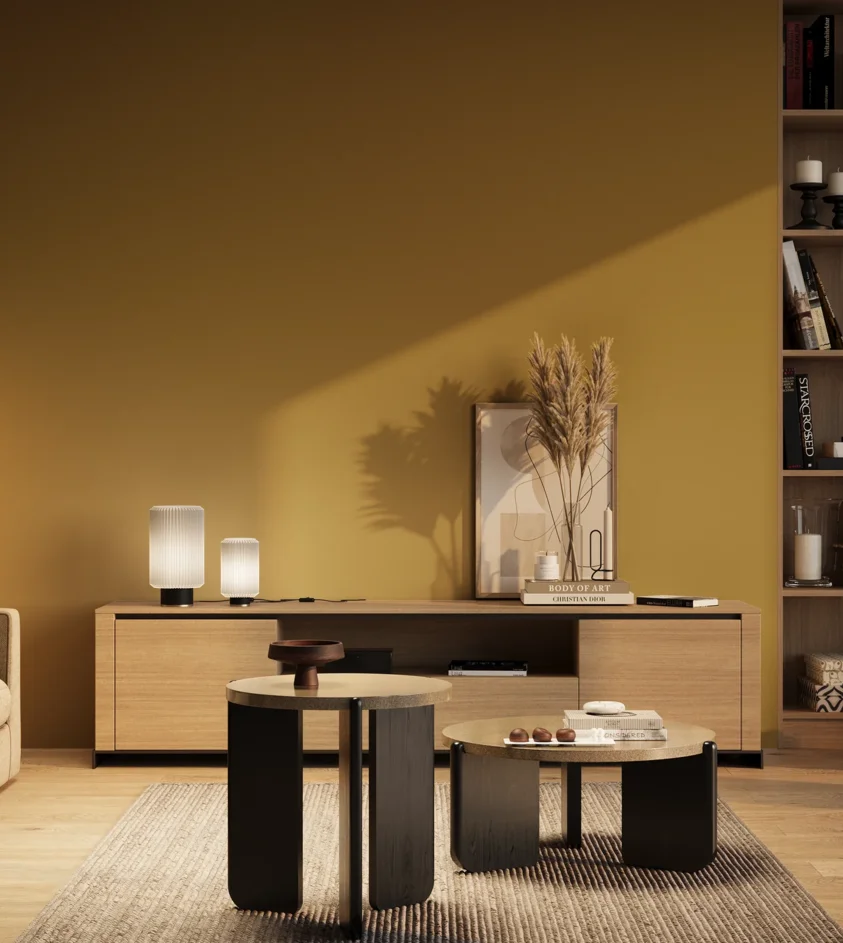 P10_SNIEZKA_salon_03_wieczor_GREY_RAL1027