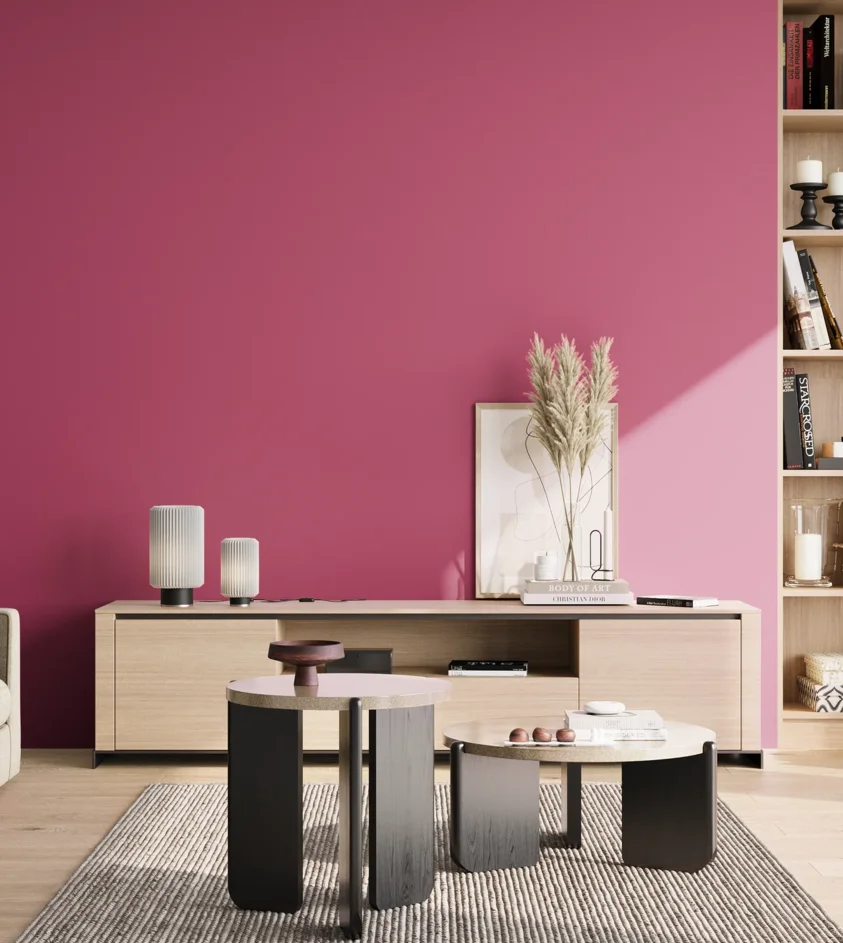 P10_SNIEZKA_salon_02_poludnie_GREY_RAL4010
