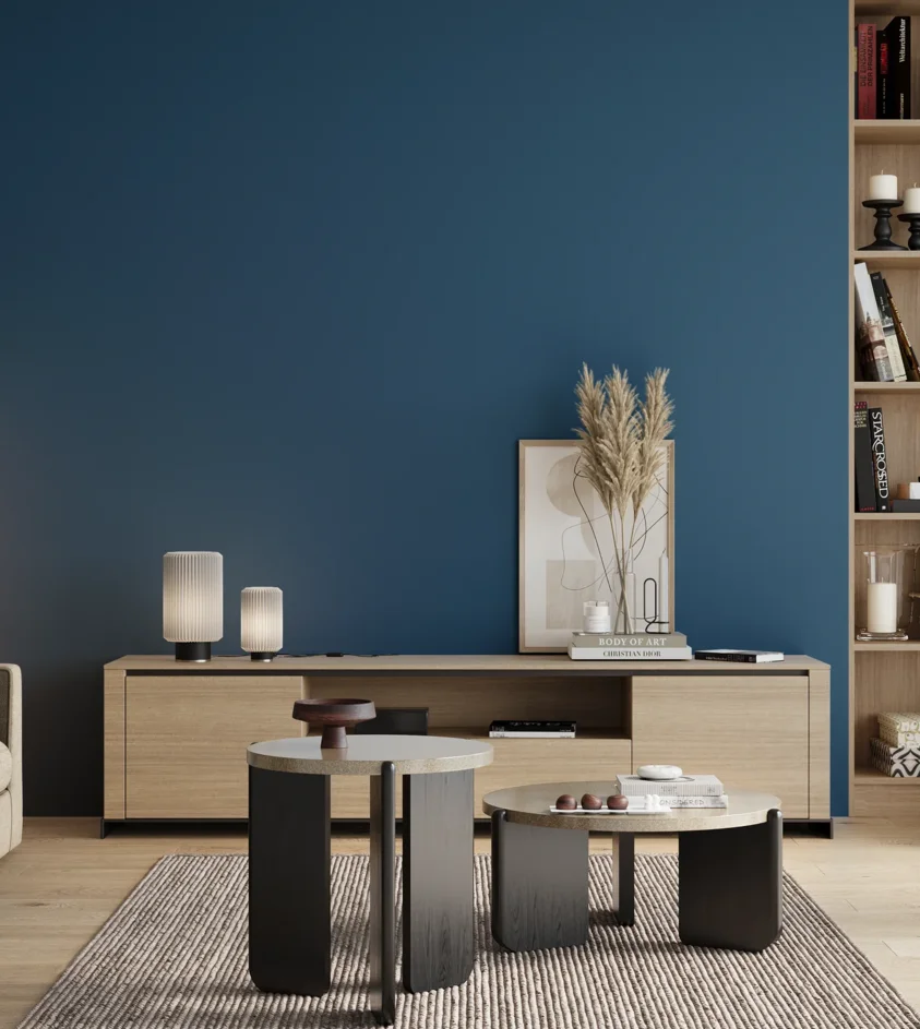 P10_SNIEZKA_salon_00_neutral_GREY_RAL5010