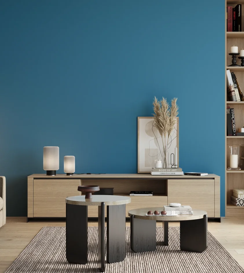 P10_SNIEZKA_salon_00_neutral_GREY_RAL5012