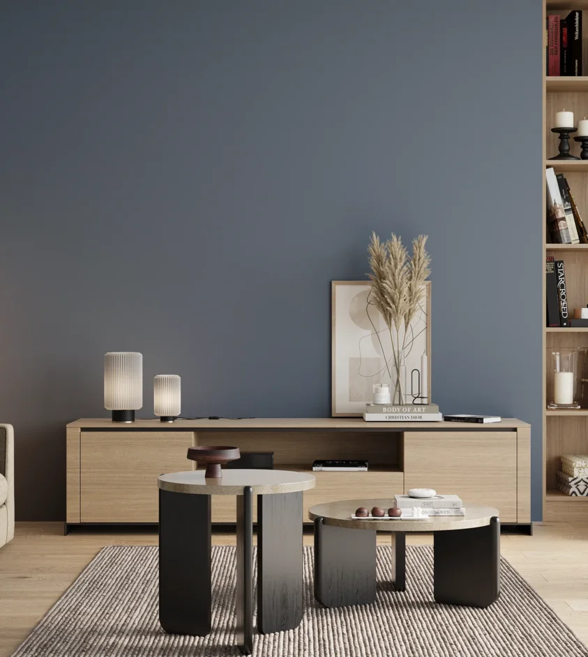 P10_SNIEZKA_salon_00_neutral_GREY_RAL5014