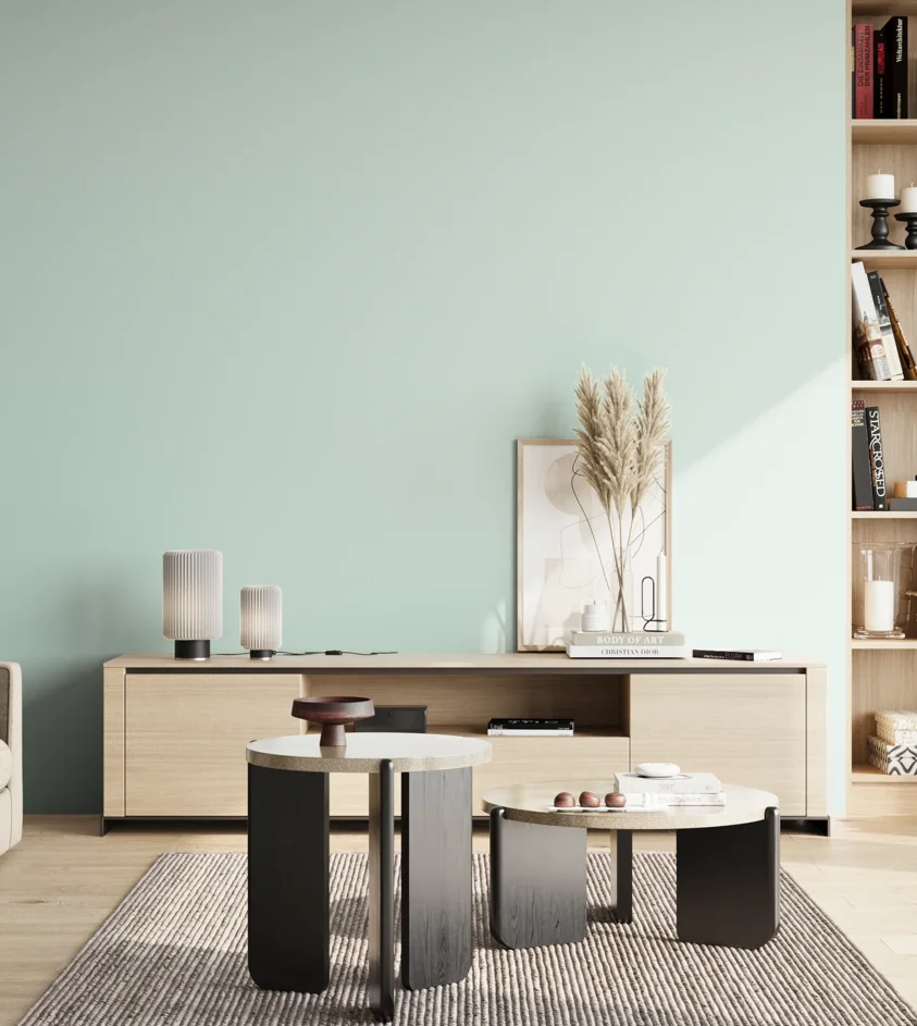 P10_SNIEZKA_salon_02_poludnie_GREY_S0510-B70G