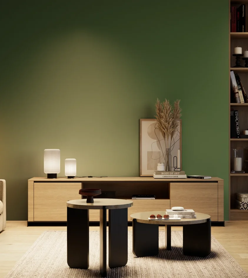 P10_SNIEZKA_salon_04_cieple_GREY_RAL6002