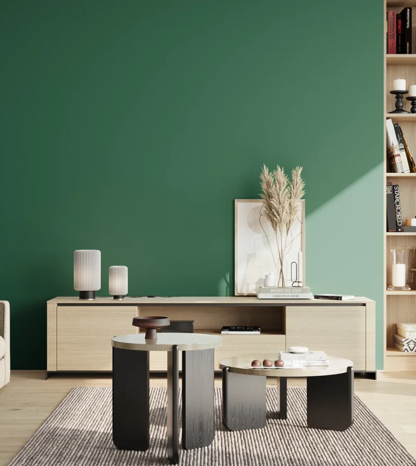 P10_SNIEZKA_salon_02_poludnie_GREY_RAL6016