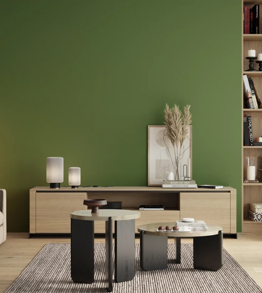 P10_SNIEZKA_salon_00_neutral_GREY_RAL6017
