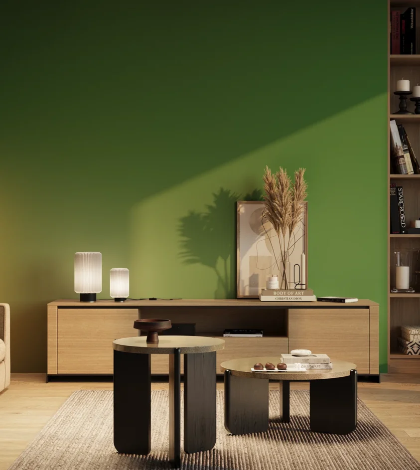 P10_SNIEZKA_salon_03_wieczor_GREY_RAL6037