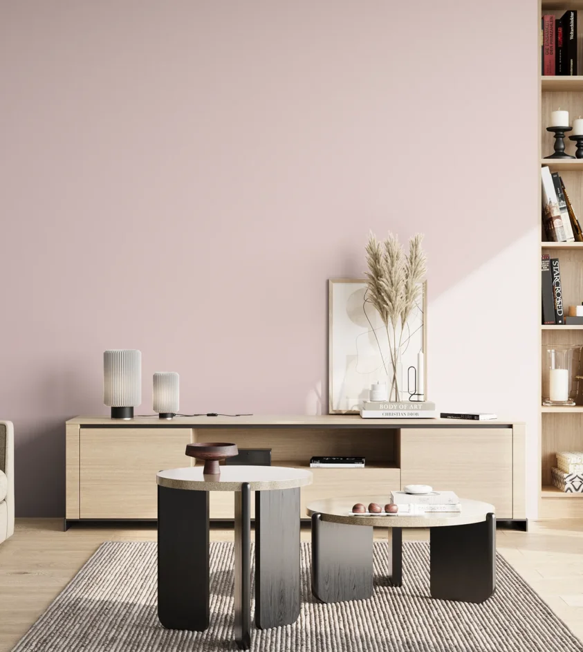 P10_SNIEZKA_salon_02_poludnie_GREY_S0510-R20B