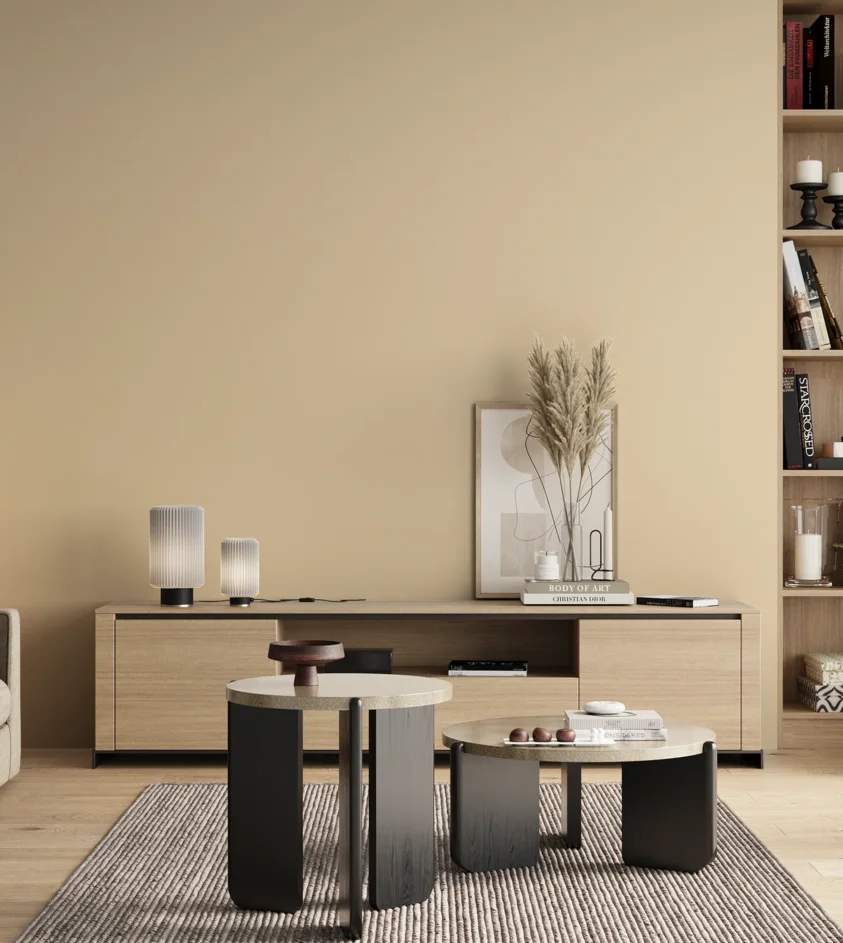 P10_SNIEZKA_salon_00_neutral_GREY_S0510-Y30R