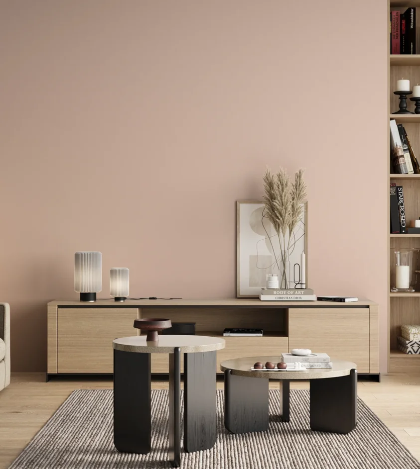 P10_SNIEZKA_salon_00_neutral_GREY_S0510-Y80R